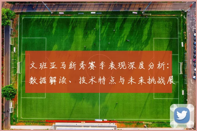 文班亚马新秀赛季表现深度分析：数据解读、技术特点与未来挑战展望
