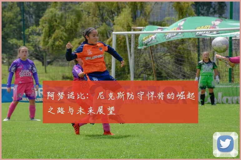 阿努诺比：尼克斯防守悍将的崛起之路与未来展望