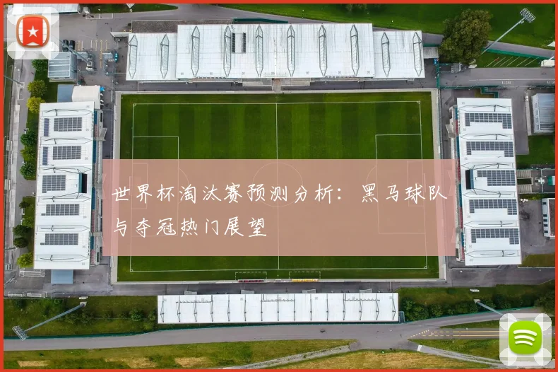 世界杯淘汰赛预测分析：黑马球队与夺冠热门展望